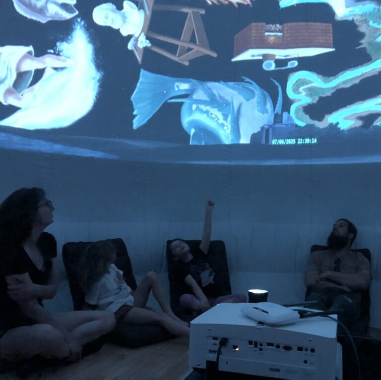Sous Le Dôme Série Jeunesse